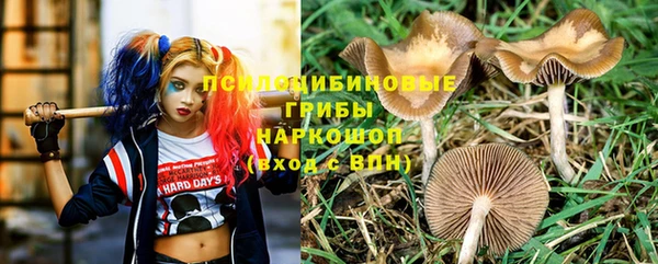 мяу мяу мука Корсаков