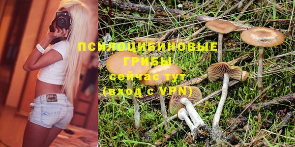 мяу мяу мука Корсаков