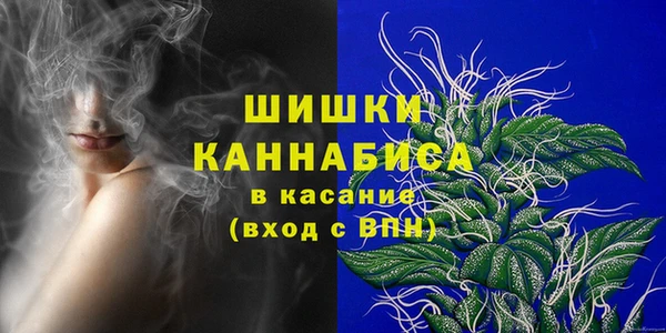 амф Костерёво