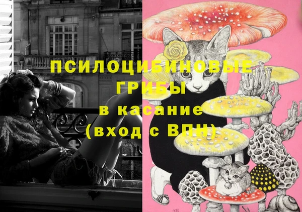 амф Костерёво