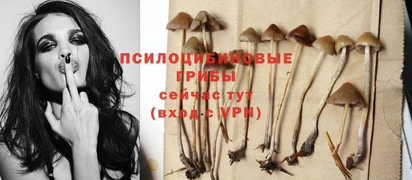 гашик Краснотурьинск