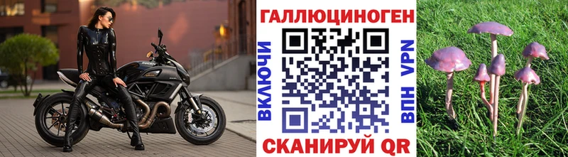 Псилоцибиновые грибы Cubensis  kraken ССЫЛКА  Полесск  закладки 